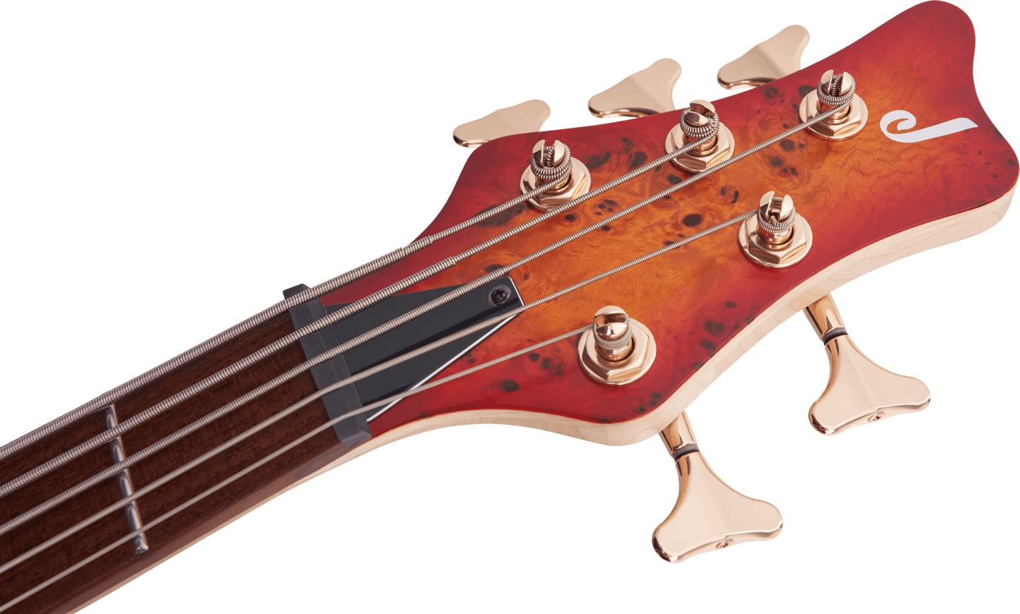 Pro Series Spectra Bass SBP V